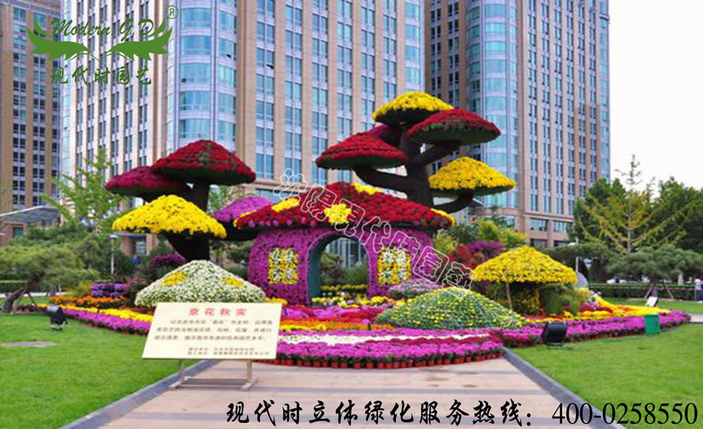 ���w����