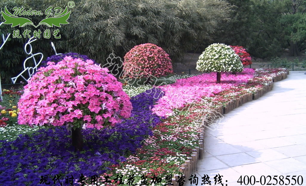 ����ϵ��