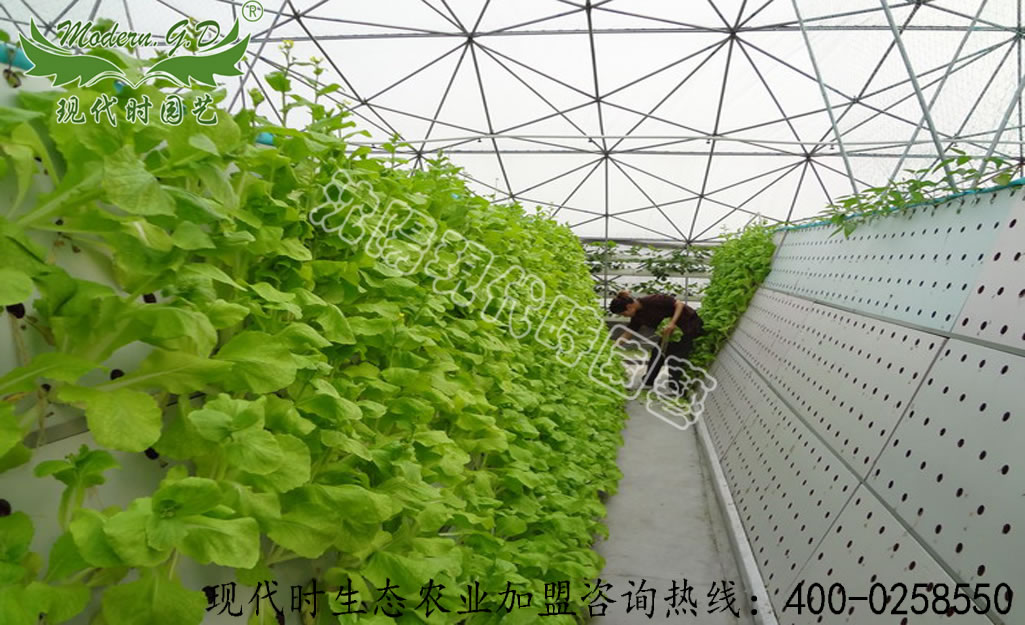 ���F����