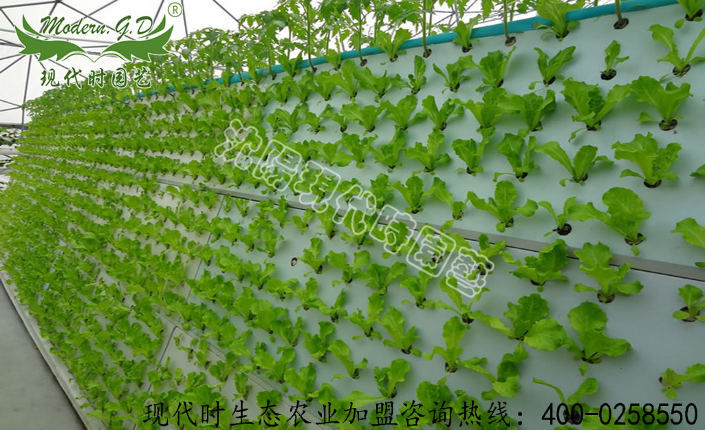 ���F����