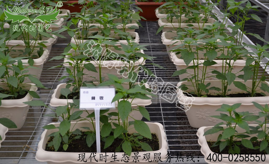 ���|����