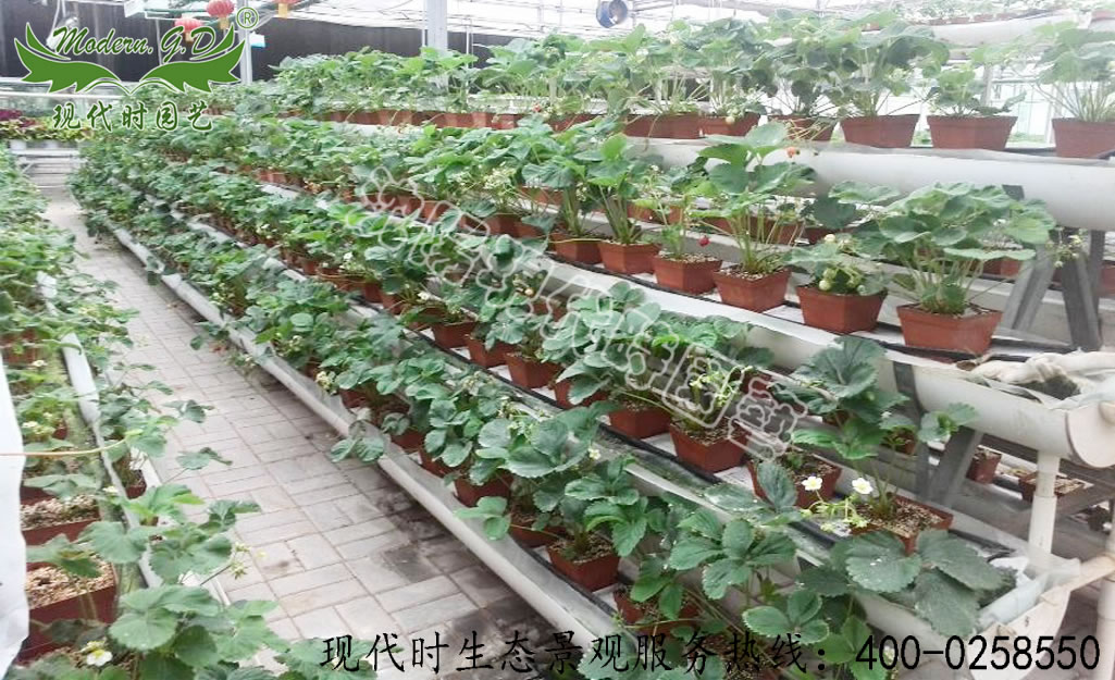 ���|����