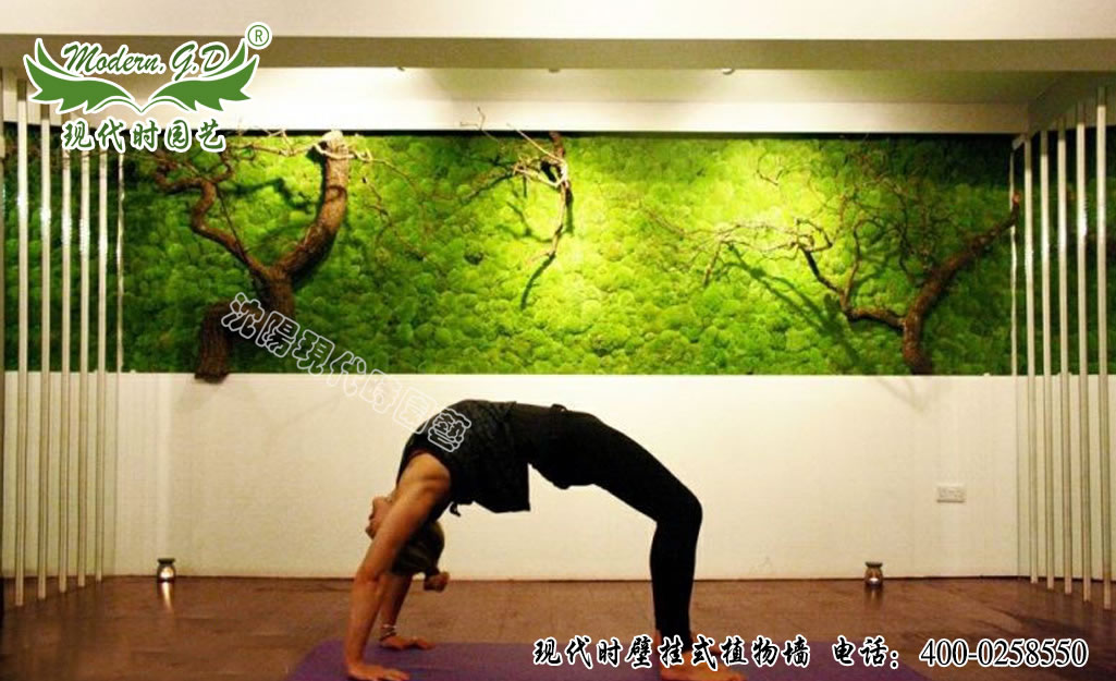 �ڮ�(hu��)ʽֲ�