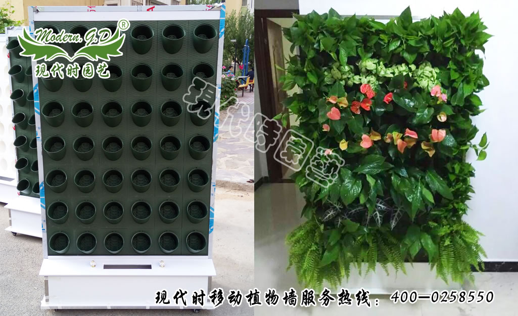 �Ƅ�(d��ng)ʽֲ�