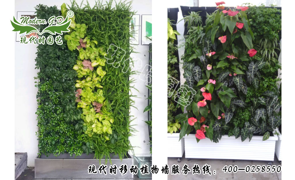 �Ƅ�(d��ng)ʽֲ�