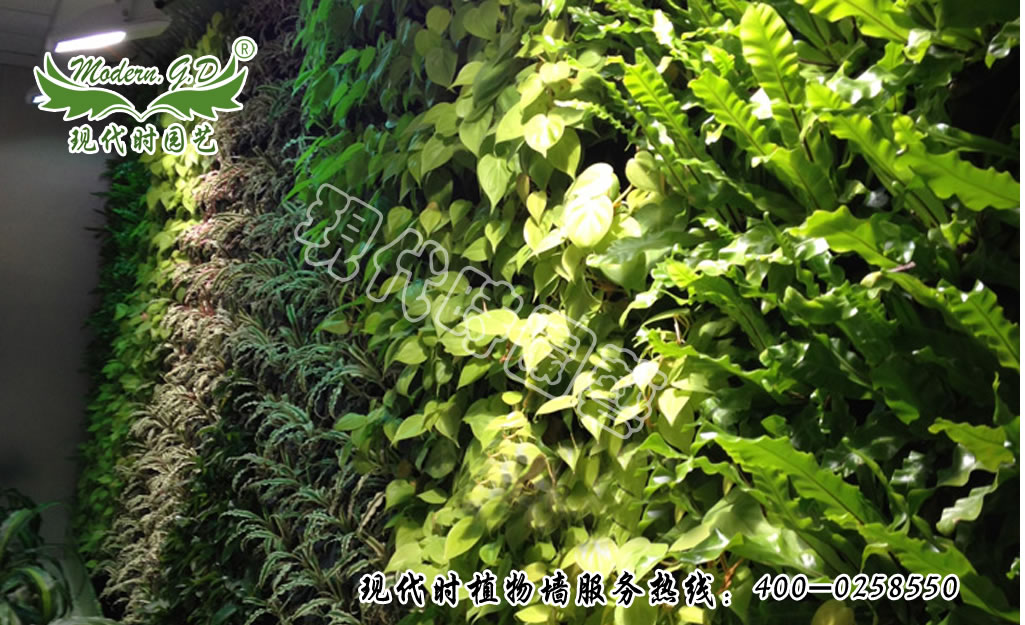 �o(w��)��ʽֲ�