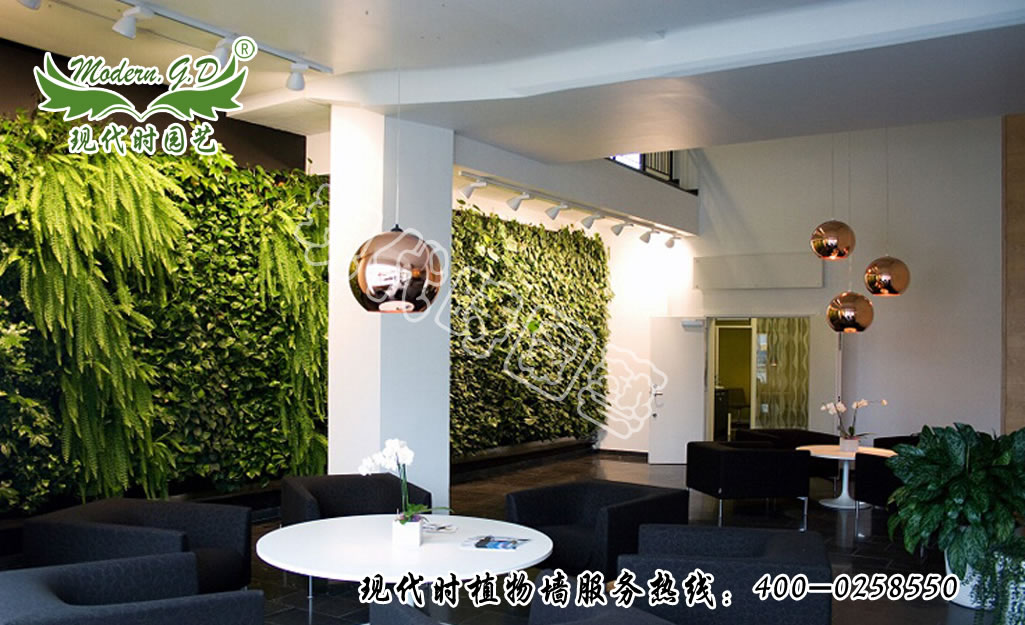 �o(w��)��ֲ�