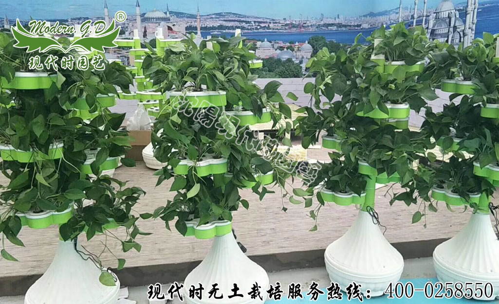 ���w����