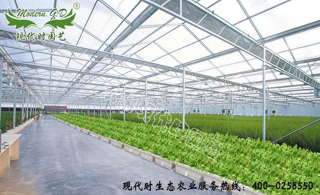 ���w����