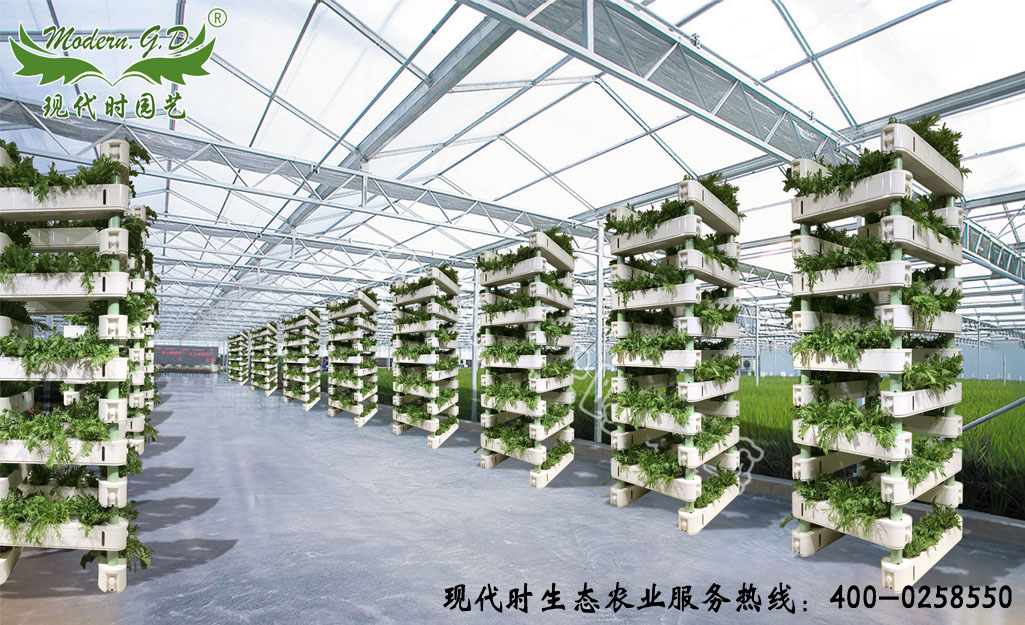 ���w����