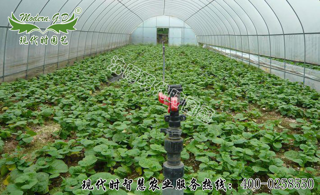 �Ԅӹ�(ji��)ˮ���