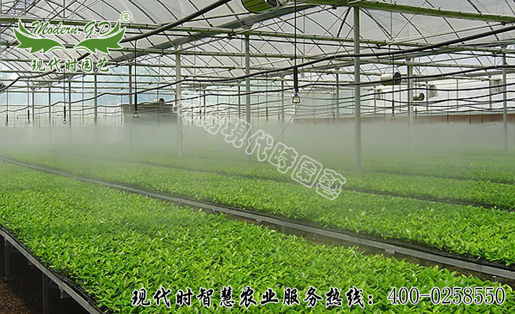 �Ԅӹ�(ji��)ˮ���