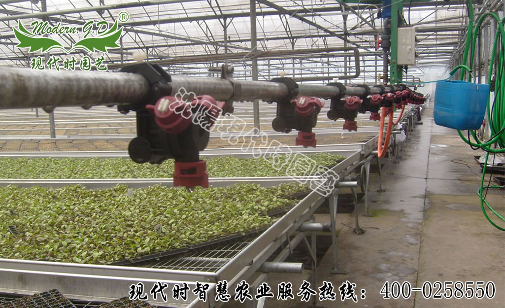 ��ˮһ�w��