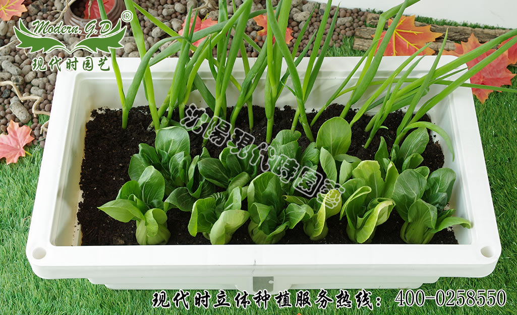 ���|����