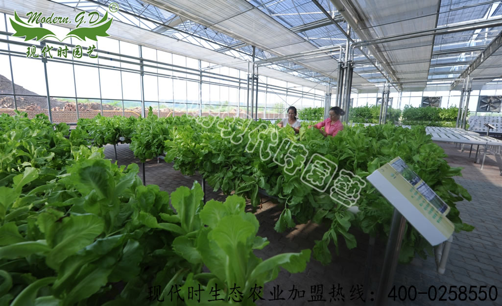 ���|����