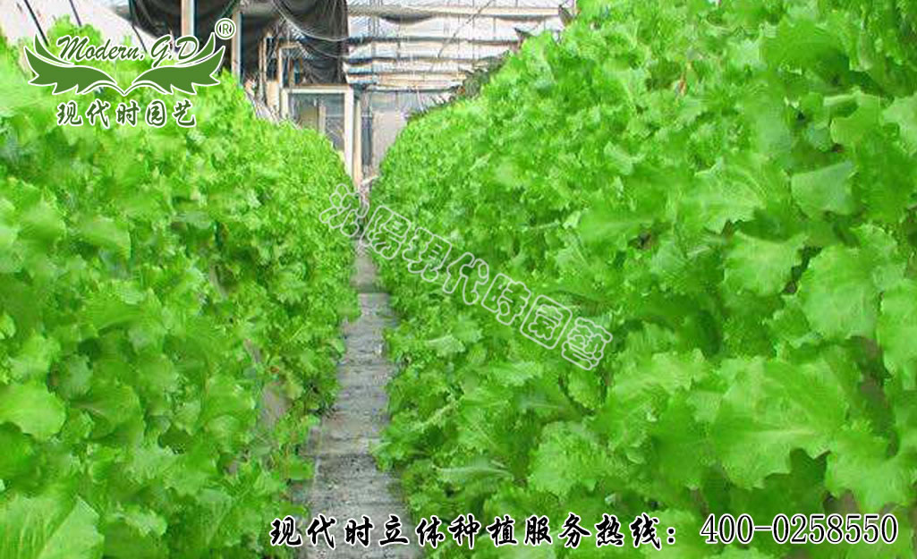 ���F����