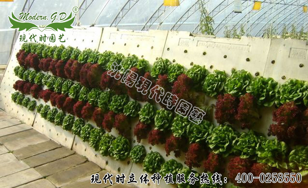 ���F����